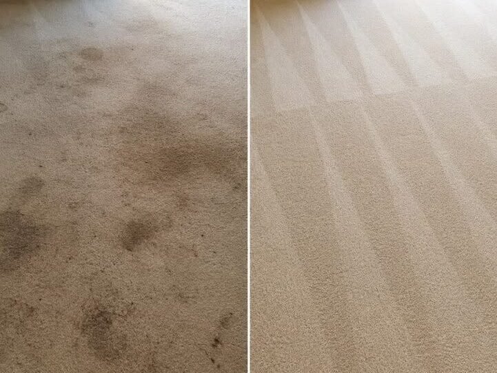 Carpets edited 1