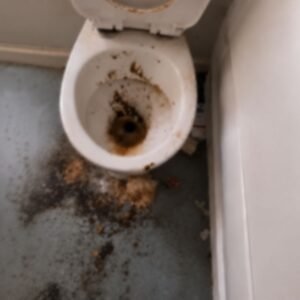 Faeces Cleanup